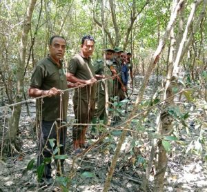 সুন্দরবন থেকে বিপুল পরিমাণ হরিণ শিকারের ফাঁদ জব্দ