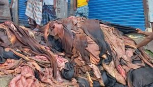 বরিশালে কোরবানির পশুর চামড়ার ন্যায্যমূল্য নিয়ে শঙ্কা