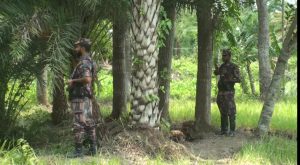 সাতক্ষীরা সীমান্তে পশুর চামড়া পাচার রোধে নজরদারি করবে বিজিবি