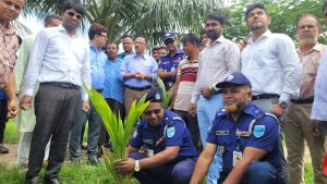 বেলাব-শিবপুরে বৃক্ষরোপণ ও রাস্তা উদ্বোধন