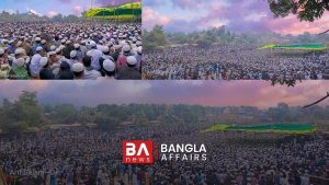 রোহিঙ্গাদের ঢল