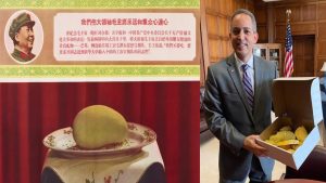 মার্কিন-চীন মুল্লুকে আম রাজনীতি