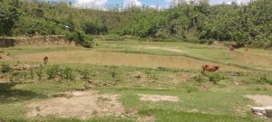 জমি অধিগ্রহণে জট: বান্দরবানে পলিটেকনিক অনিশ্চিত