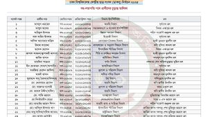 ডাকসুর ভিপি-জিএস পদে কার ব্যালট নম্বর কত