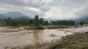 পাকিস্তানে নিহত ৩০৭, দাফন করার কেউ নেই