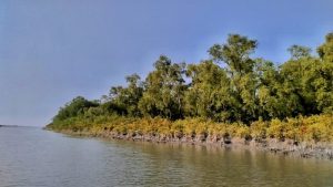 নিঝুম দ্বীপ: শীতের ছুটিতে হারিয়ে যাওয়ার নির্জন স্বর্গ