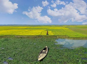 নিঝুম দ্বীপ: শীতের ছুটিতে হারিয়ে যাওয়ার নির্জন স্বর্গ