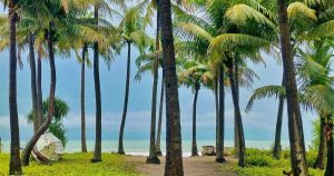 সেন্টমার্টিনে দুলছে সারি সারি নারিকেল গাছ